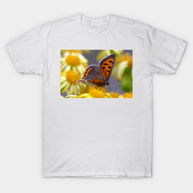 The Small Copper T-Shirt by MelTGazing